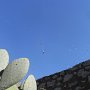 R0011529