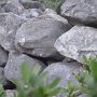 R0011549