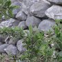R0011550
