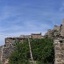 R0011563