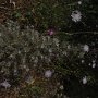 R0011589
