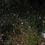 R0011590