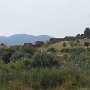 R0011613