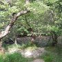 R0011657