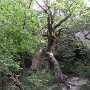 R0011658