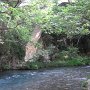 R0011659