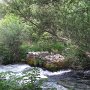 R0011660