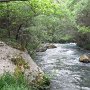 R0011681