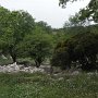 R0011705
