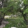 R0011706