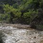 R0011724