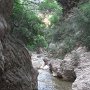 R0011725