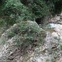 R0011727