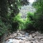 R0011729