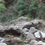 R0011732