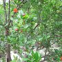 R0011734