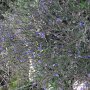 R0011752