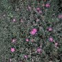R0011756