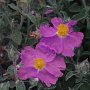 R0011757