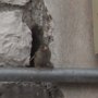 R0011764