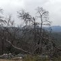 R0011771