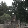 R0011782