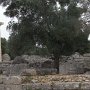 R0011791