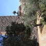 R0011844