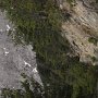 R0011883