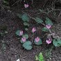 R0011887