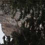 R0011895