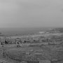 R0011919