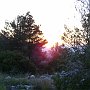 Sunset on road to Epidaurus 2
