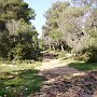 Site of first night 2