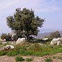Ancient Troizen with Byzantine ruin in background