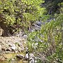 Devil's Bridge gorge 3