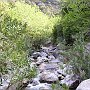Devil's Bridge gorge 5