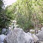 Devil's Bridge gorge 9
