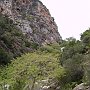Devil's Bridge gorge 16