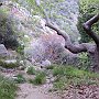 Devil's Bridge gorge - where Daddy used to camp by the spring