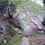 Devil's Bridge gorge - top area