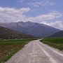The road from Levidi towards Mantinea