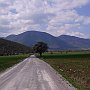 The road from Levidi towards Mantinea 2