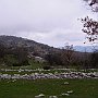 View from the site of the Temple at Bassae