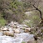 Lousios below Dimitsana 3