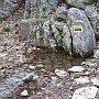 Planitero - springs