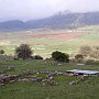 The foundations of houses at Ancient Lousi