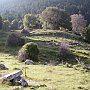 Ancient Lousi - looking up the hill from the Boulefterion to the Temple