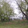 Daddy's grove of plane trees by the banks of the Evinus taken in pouring rain