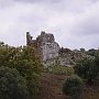 Oiniadae - tower